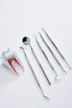 Gri arka planda dişçi aletlerinin yüksek açılı görüntüsü ve yapay plastik diş