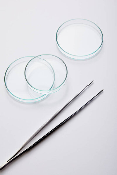 Laboratory Petri dishes and tweezers on grey background