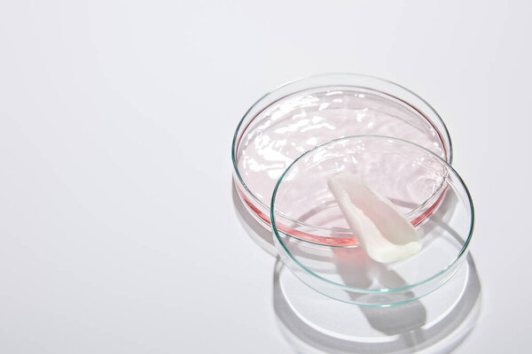 High angle view of laboratory glassware with liquid and rose petal on grey background