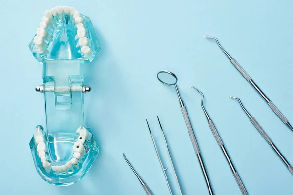 Ovanifrån Konstgjorda Käken Modell Och Dentala Instrument Blå Bakgrund — Stockfoto