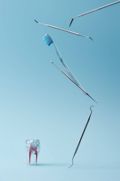 Dental instruments, toothbrush and artificial plastic tooth on blue background