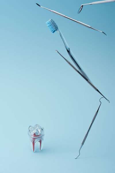 Стоматологические профессиональные инструменты, зубная щетка и искусственный пластиковый зуб на синем фоне
