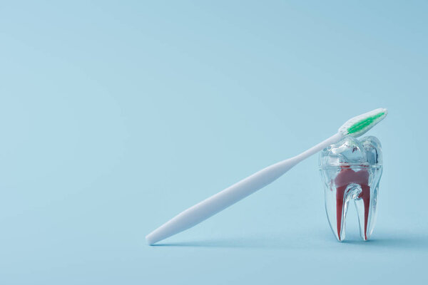 Пластиковая белая зубная щетка и искусственный прозрачный пластиковый зуб на синем фоне

