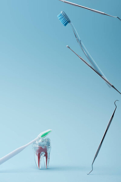 Toothbrushes, dental equipment and artificial plastic tooth on blue background