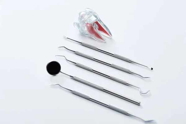 Προβολή Υψηλής Γωνίας Επαγγελματικών Οδοντιατρικών Εργαλείων Και Τεχνητού Πλαστικού Δοντιού — Φωτογραφία Αρχείου