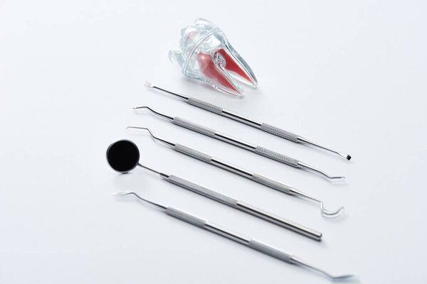 Высокий угол обзора профессиональных зубных инструментов и искусственного пластикового зуба на сером фоне
