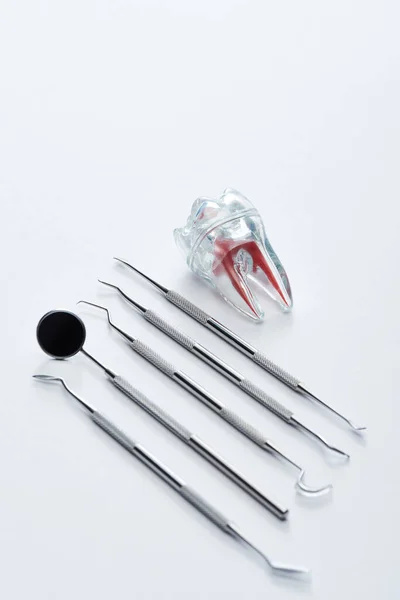 Високий Кут Огляду Інструментів Стоматологічних Інструментів Штучного Пластичного Зуба Сірому — стокове фото