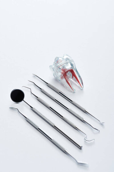 Высокий угол обзора зуботехнических инструментов и искусственного пластикового зуба на сером фоне
