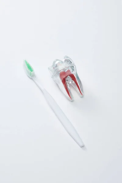灰色背景下带有绿色刚毛和人造塑料牙的白色牙刷的高角度视图 — 图库照片