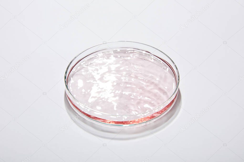 High angle view of laboratory glassware with liquid on grey background