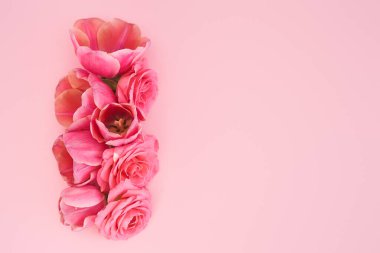 Pembe arkaplanda pembe güllerin ve lalelerin fotokopi alanının üst görüntüsü