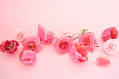Pembe arka planda açan bahar çiçekleri