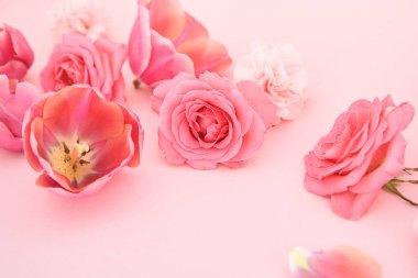 Pembe arka planda açan bahar çiçekleri