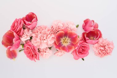Beyaz arkaplanda pembe bahar çiçeklerinin üst görünümü