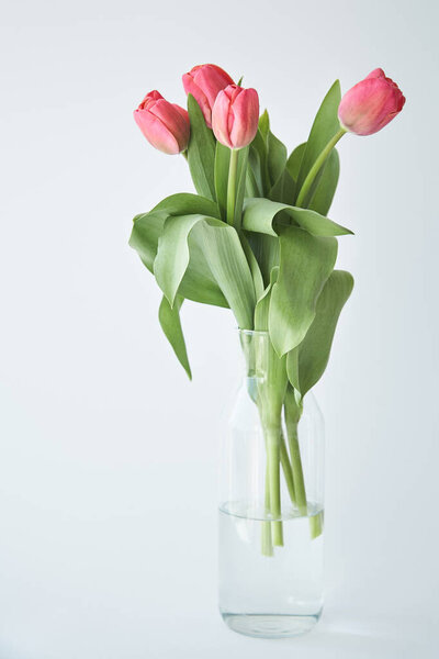 Весной цветут розовые тюльпаны с зелеными листьями в вазе на белом
