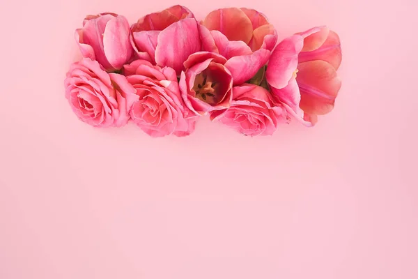 Vista Superior Rosas Rosadas Brotes Tulipanes Sobre Fondo Rosa Con — Foto de Stock