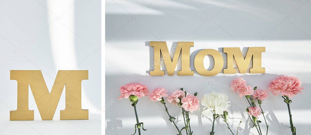 Collage of pink carnations, m letter and mom lettering on white background with sunlight and shadows