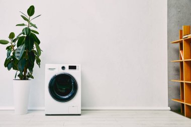 Modern çamaşır makinesinin yanında yeşil bitki ve banyoda ahşap askı. 