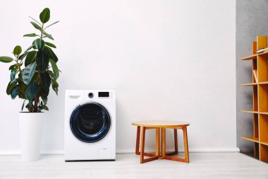 Modern çamaşır makinesinin yanındaki yeşil bitki ve tuvaletteki ahşap sehpa. 