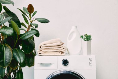 Deterjan şişesinin yanında yeşil yapraklı bitkiler ve banyodaki çamaşır makinesinde havlular. 