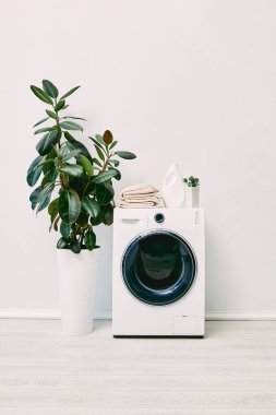 Modern ve beyaz banyo deterjan şişesinin yanında bitkiler ve çamaşır makinesinde havlular.