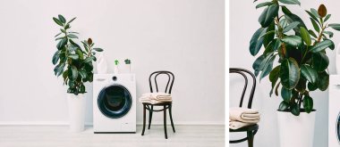 Modern banyo kolajı. Bitkiler, deterjan şişeleri, havlular ve çamaşır makinesinin yanındaki sandalyeler.