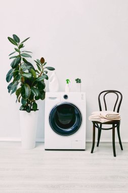 Çağdaş banyo bitkiler, deterjan, sprey şişeler, havlular ve çamaşır makinesinin yanındaki sandalye