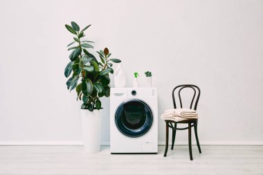 yeşil bitkiler şişelerin yanında çamaşır makinesinin yanında sandalyenin yanında havlularla 