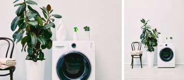 collage of green plants near detergent bottles on washing machines near chairs with towels  clipart