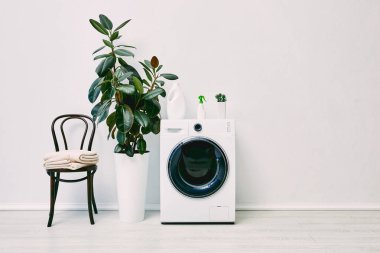 yeşil bitkiler çamaşır makinesinin yanında şişeler sandalyeye yakın havlular 