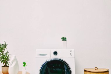 yeşil bitki ve şişeler sehpanın üzerinde çamaşır makinesinin yanında ve çamaşır sepetinin yanında 