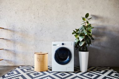 Çamaşır sepetinin yanında çamaşır makinesi, yeşil bitki ve modern banyoda süs halısı. 