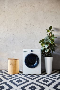 Çamaşır sepetinin yanında çamaşır makinesi, yeşil bitki ve modern banyoda süslü halı. 