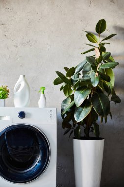Deterjan ve sprey şişeleri modern banyodaki fabrikanın yanındaki çamaşır makinesinde. 