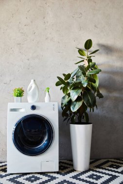 Modern banyodaki süs halısının yanındaki beyaz çamaşır makinesinde bitki ve şişeler. 
