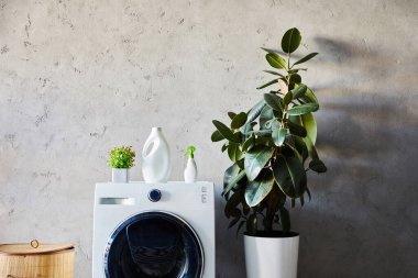 Deterjan ve sprey şişeleri fabrikanın yanındaki beyaz çamaşır makinesine, çamaşır sepetine ve modern banyodaki süs halısına. 