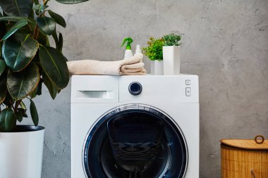 Çamaşır sepetinin yanındaki çamaşır makinesinde bitkiler, havlu ve şişeler. 