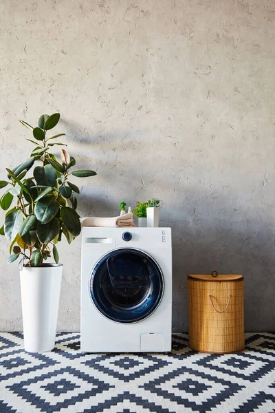 Wasmachine Buurt Van Planten Flessen Handdoek Wasmand Moderne Badkamer — Stockfoto