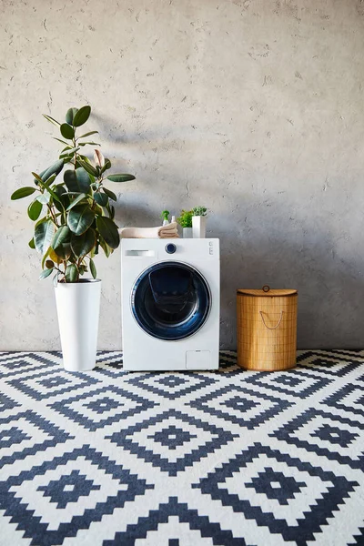 Lavadora Moderna Cerca Plantas Botellas Cesta Lavandería Baño — Foto de Stock