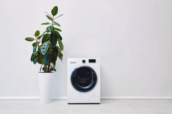 Plant Modern Washing Machine Bathroom — Stock Photo, Image