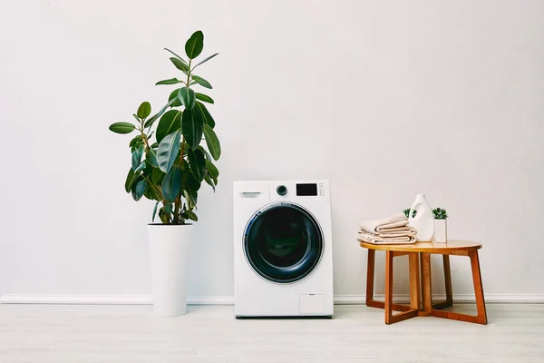 Planta Verde Cerca Lavadora Moderna Mesa Centro Con Toallas Botella — Foto de Stock