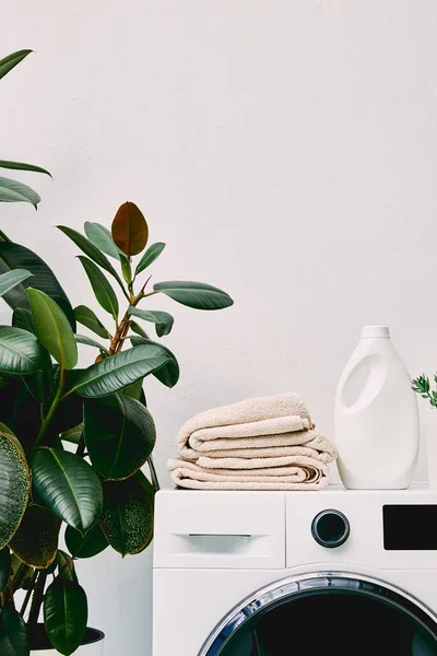 Planta Verde Cerca Botella Detergente Toallas Lavadora Baño — Foto de Stock