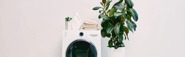 洗濯機の洗剤瓶やタオルの近くに植物と現代的なバスルームのパノラマショット — ストック写真