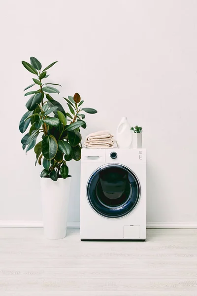 Modern White Bathroom Plants Detergent Bottle Towels Washing Machine — Stock Photo, Image