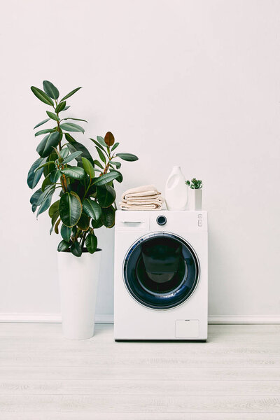 modern and white bathroom with plants near detergent bottle and towels on washing machine