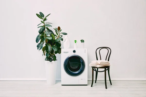 Gröna Växter Nära Flaskor Tvättmaskin Nära Stol Med Handdukar — Stockfoto