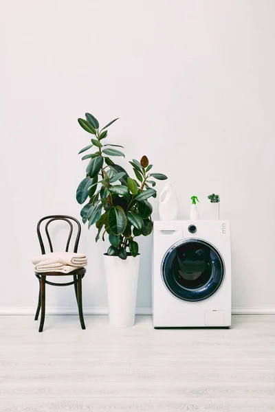 현대식 세탁기 근처에 식물들 수건이 가까이에 — 스톡 사진