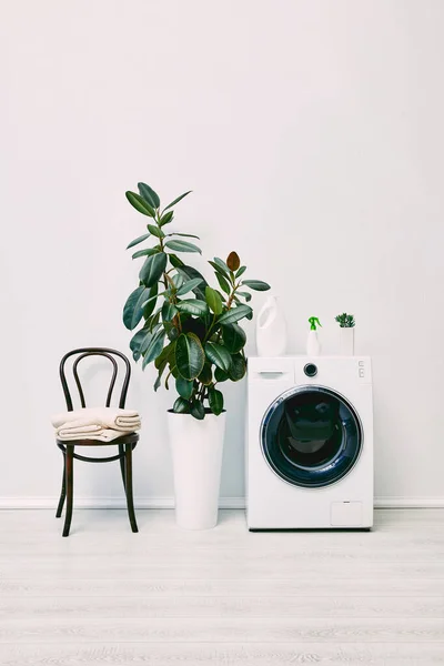 Plantas Verdes Cerca Lavadora Moderna Con Botellas Cerca Silla Con — Foto de Stock