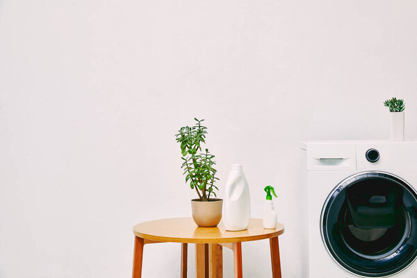 green plant and bottles on coffee table near modern washing machine in bathroom 