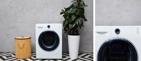 collage of modern washing machines near green plant, laundry basket and ornamental carpet in bathroom